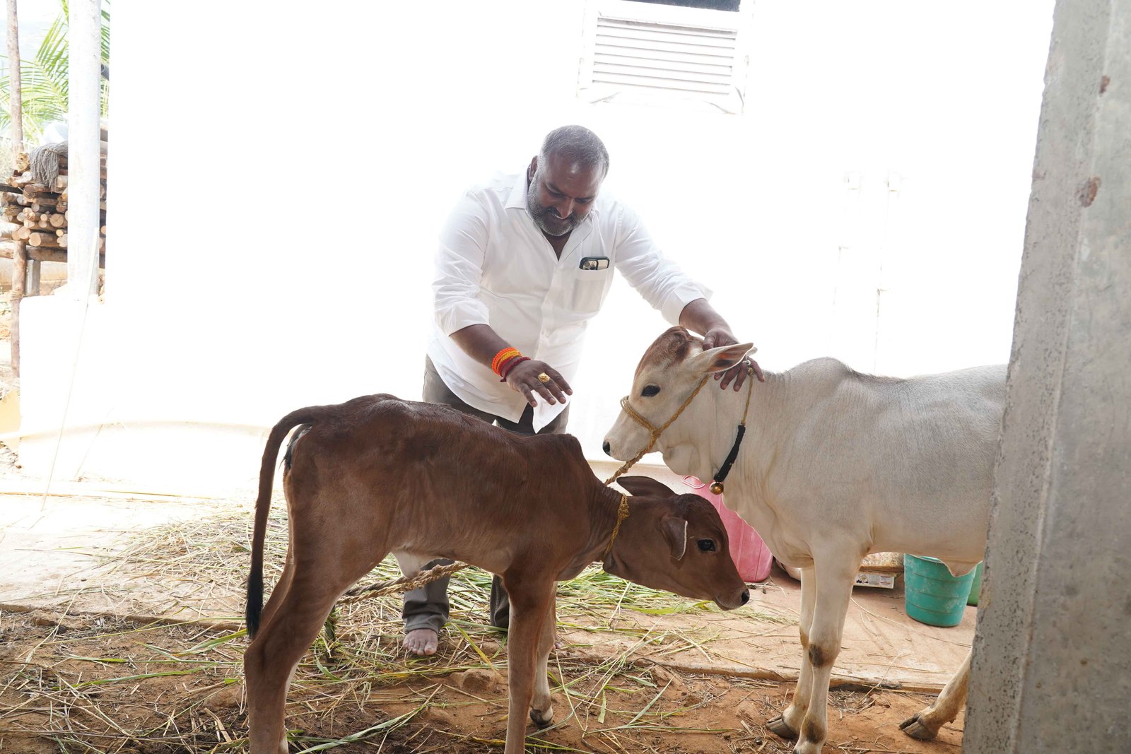 sundarapu vijay kumar